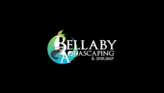 Bellaby Aquascaping Shrimp 1