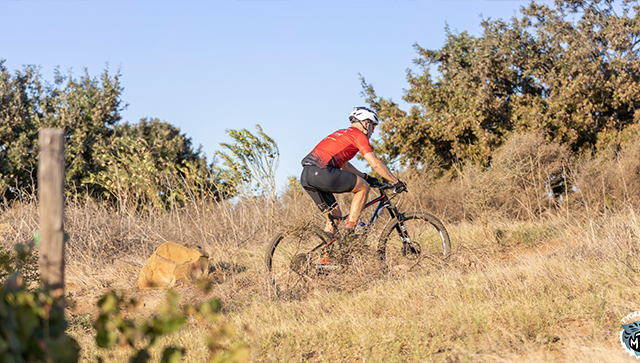 Bloemendal Trail Park - The Business Directory