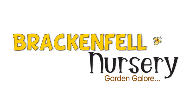 Brackenfell Nursery 2