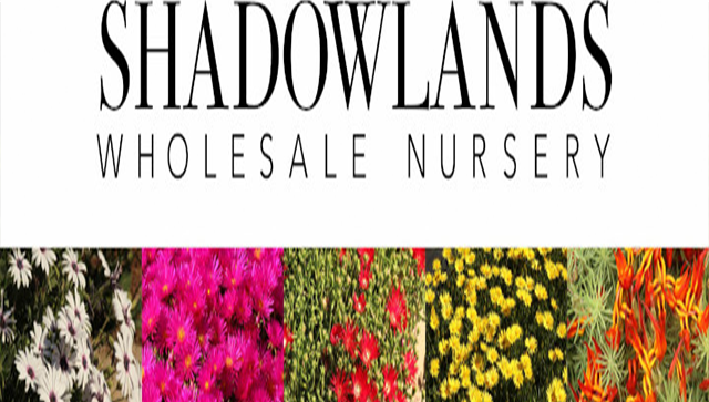 Shadowlands logo 1