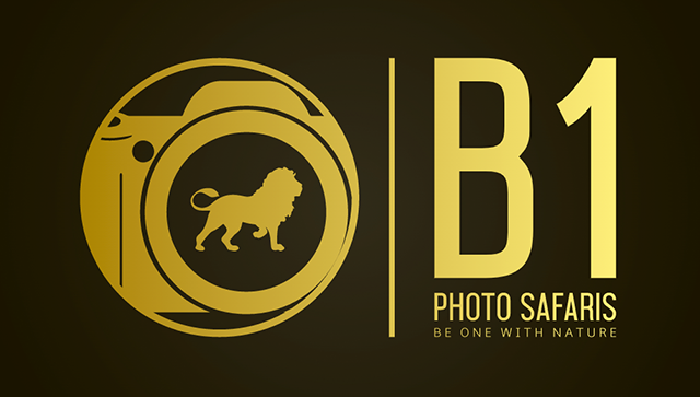 B1 Photo Safaris