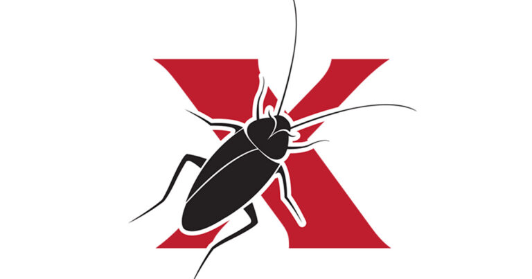 Pest Control Solutions 1 768x403