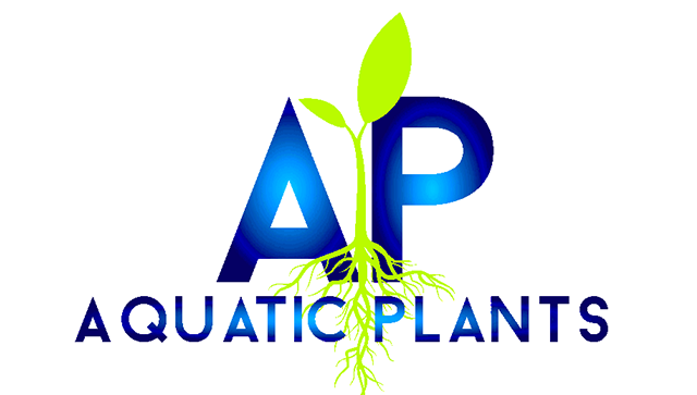 Aquatic Plants