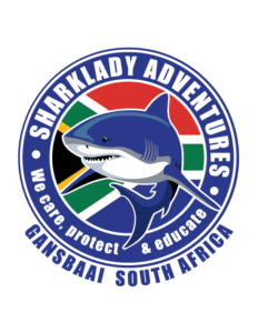Sharklady Adventures Logo MAIN 232x300