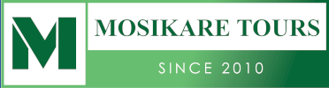 Mosikare logo small 1